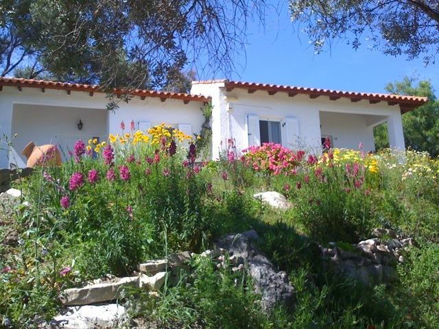 Elena Bungalows Aparthotel Pythagóreion Camera foto